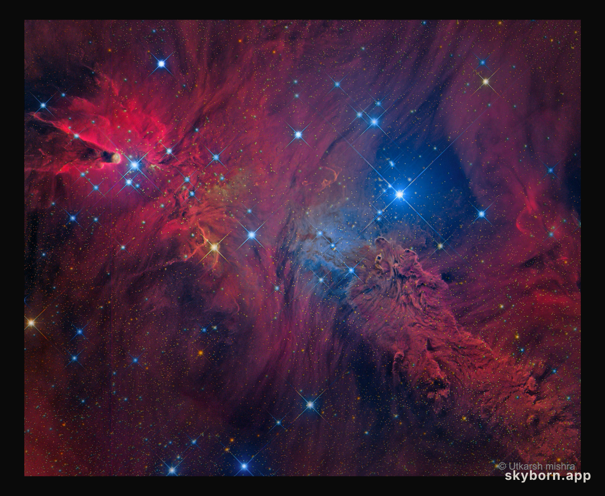 In the Vicinity of the Cone Nebula
