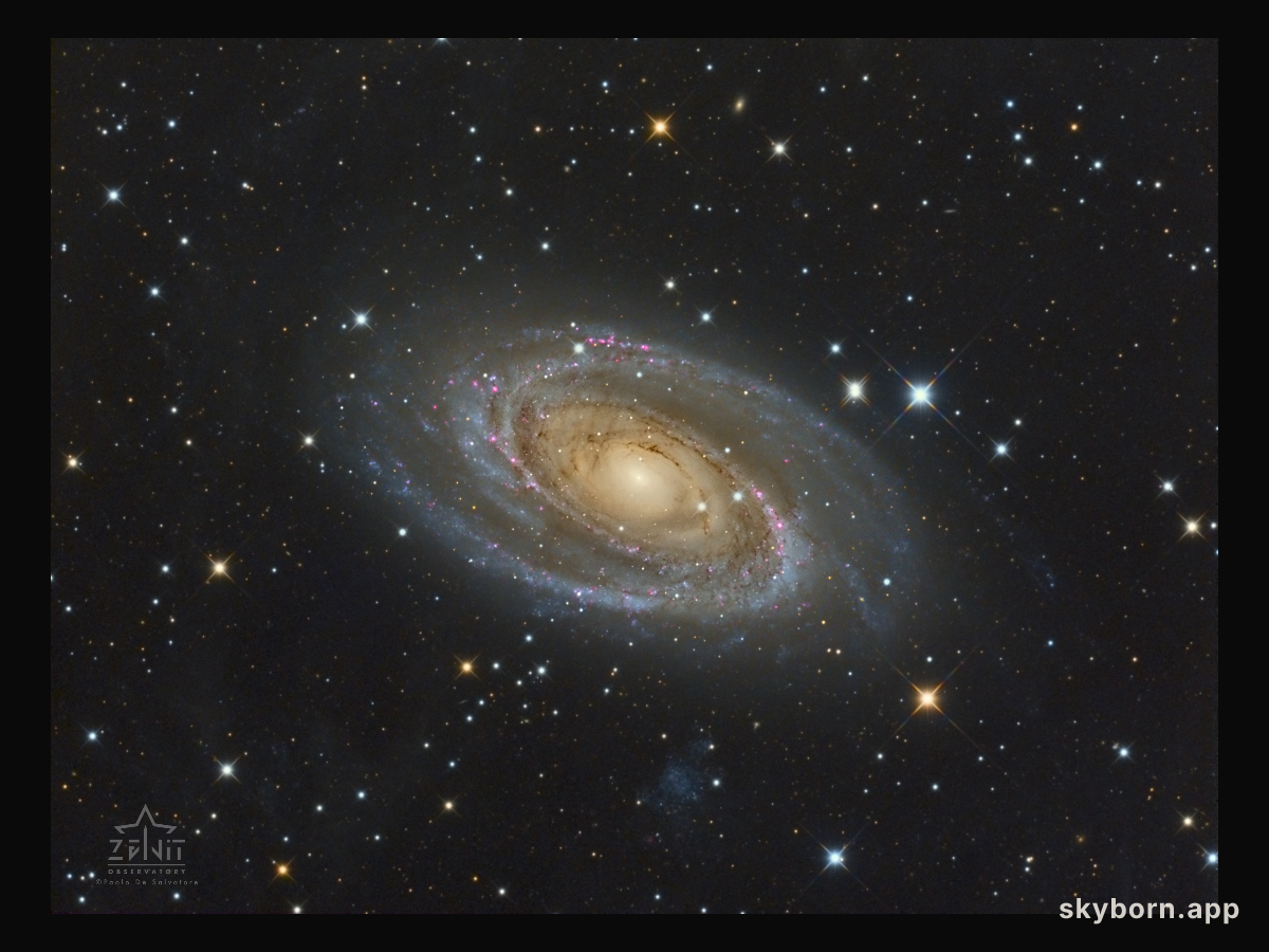 Messier 81