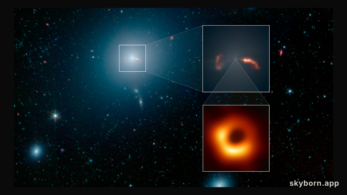 The Galaxy, the Jet, and the Black Hole