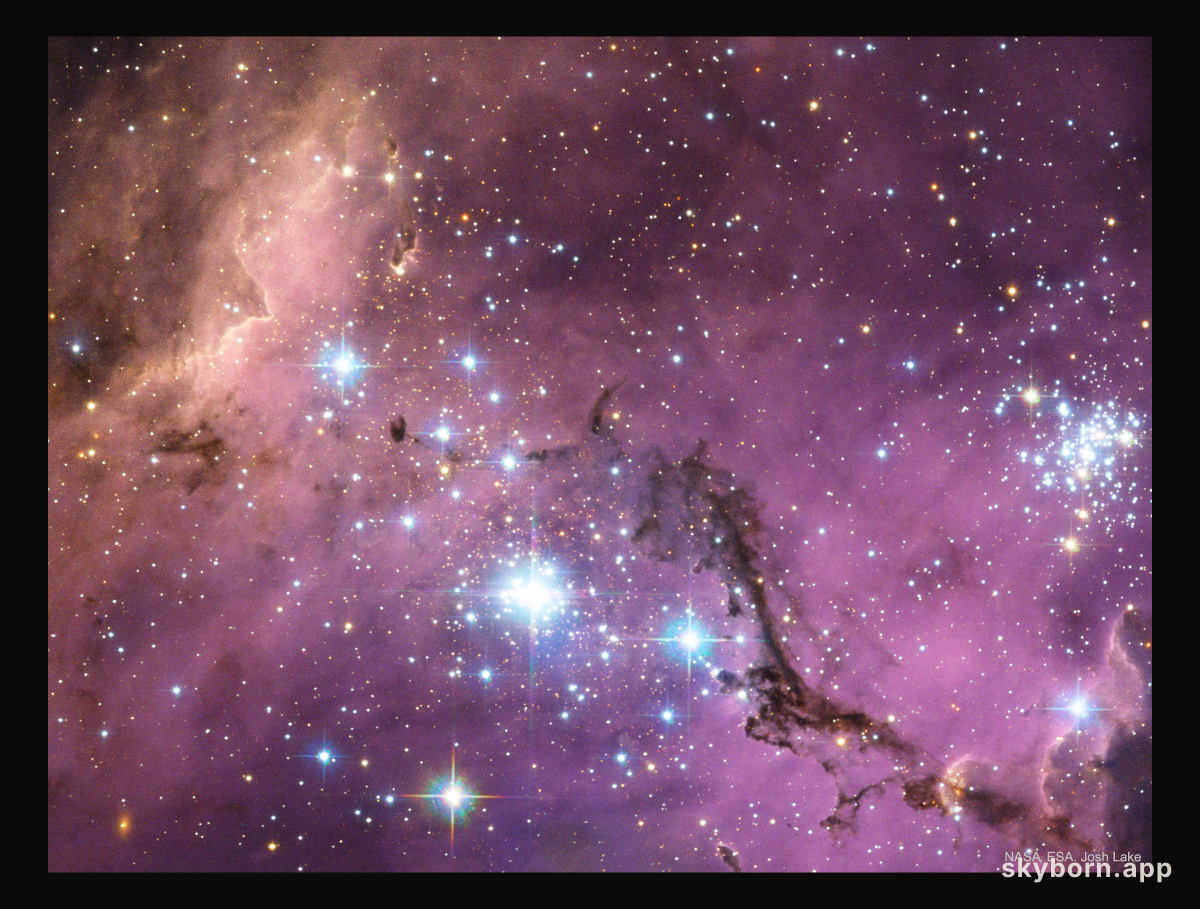N11: Star Clouds of the LMC