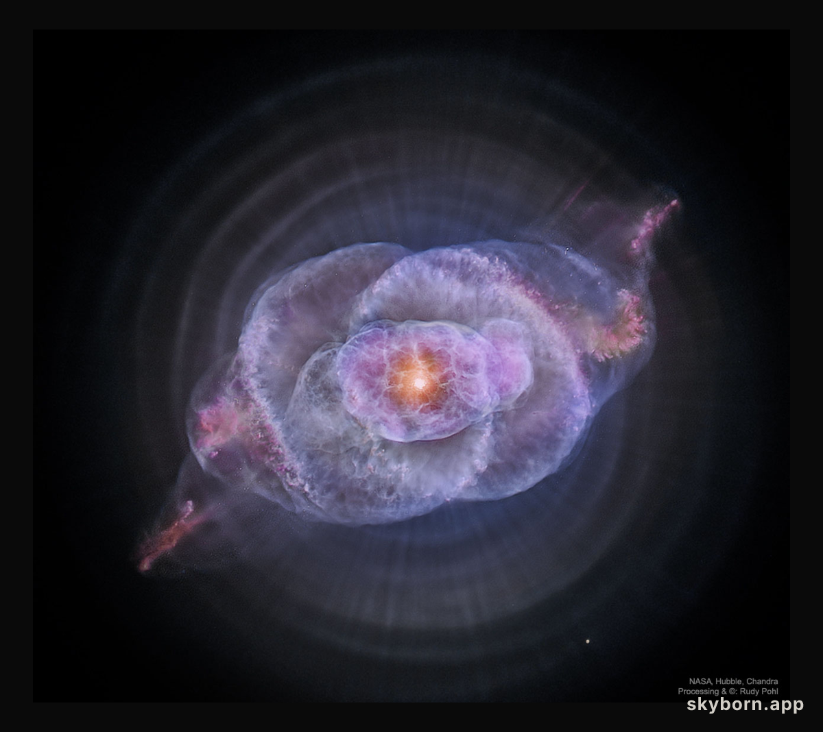 The Cat's Eye Nebula in Optical and X-ray
