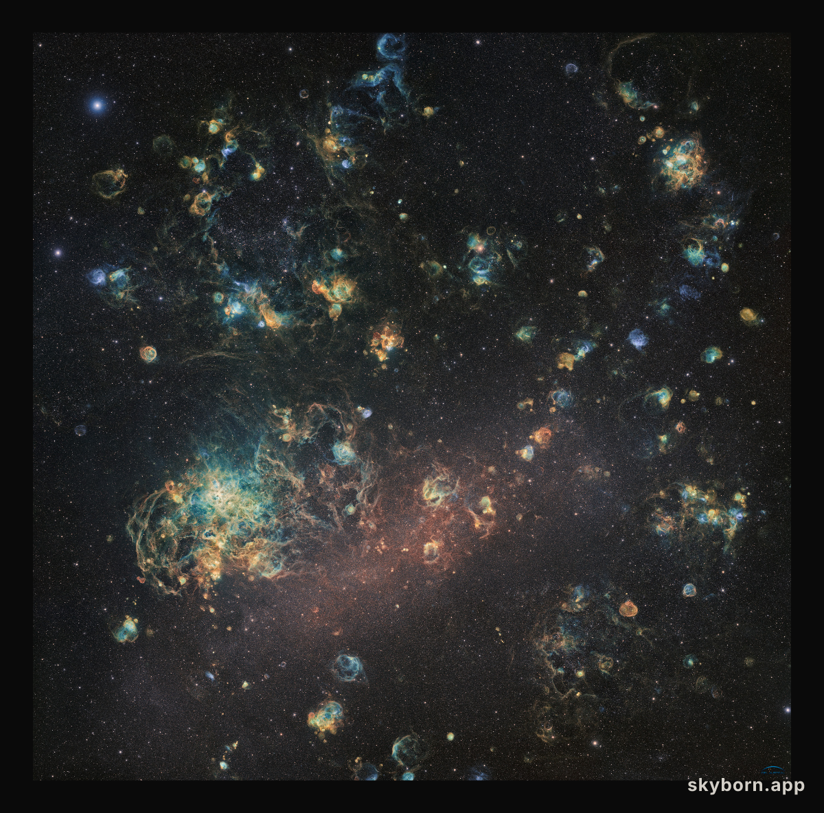 Clouds of the Large Magellanic Cloud