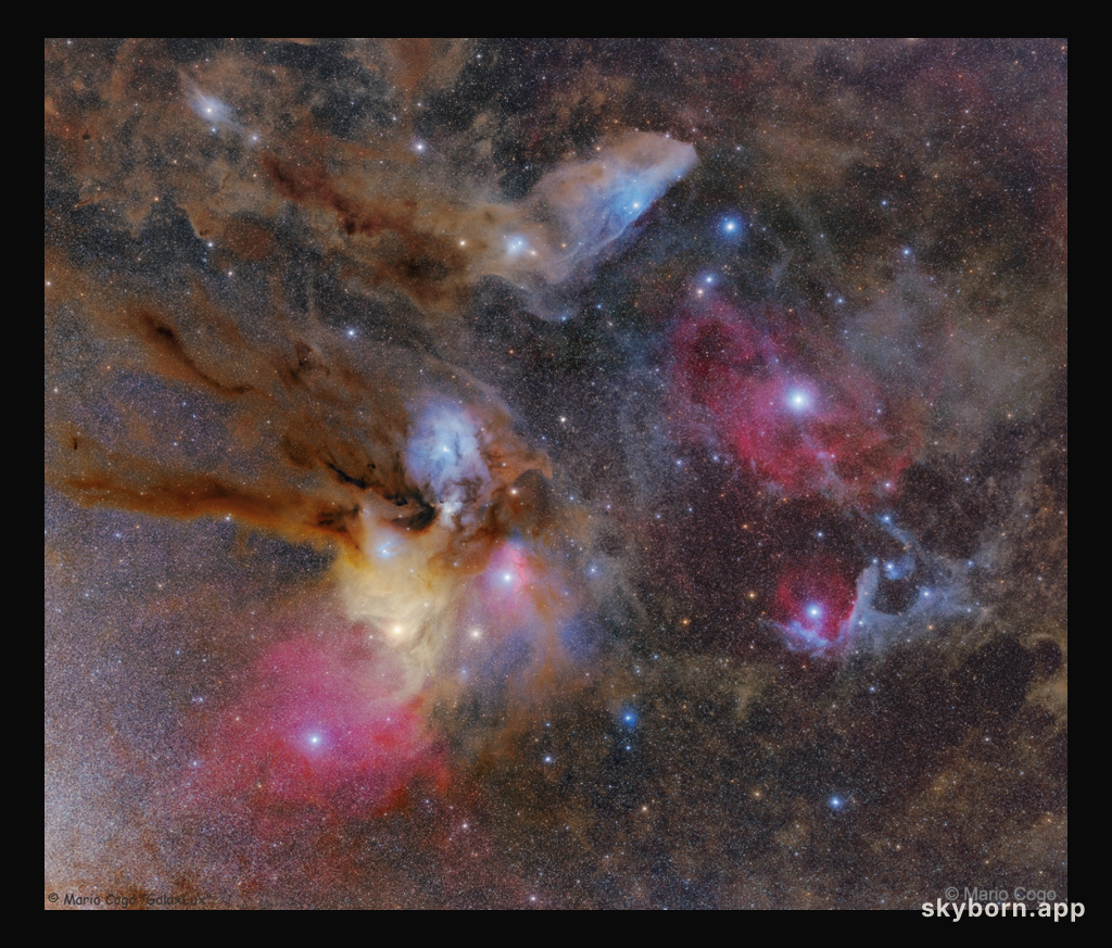 Rho Ophiuchi Wide Field