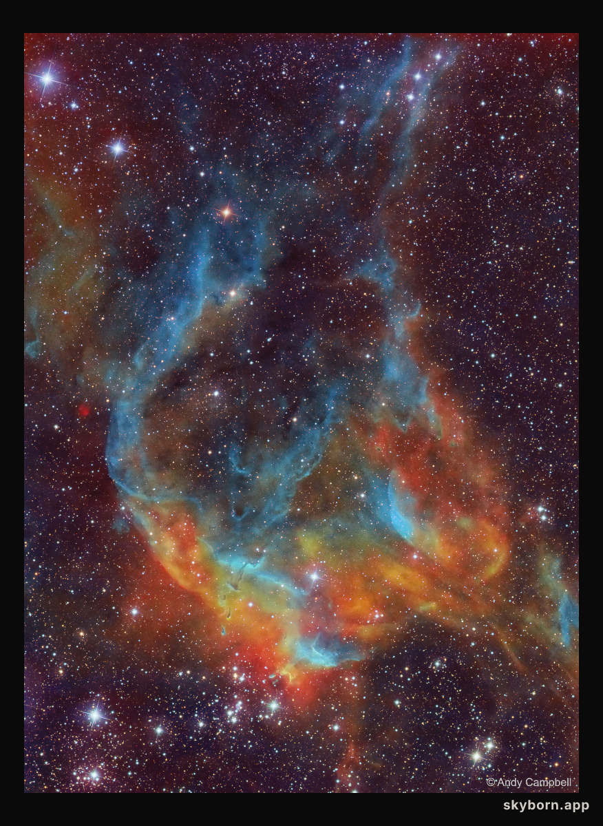 Stars, Dust, and Gas near NGC 3572