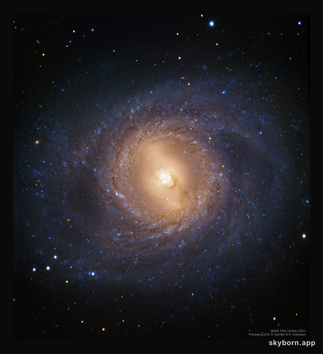 M95: Spiral Galaxy with an Inner Ring