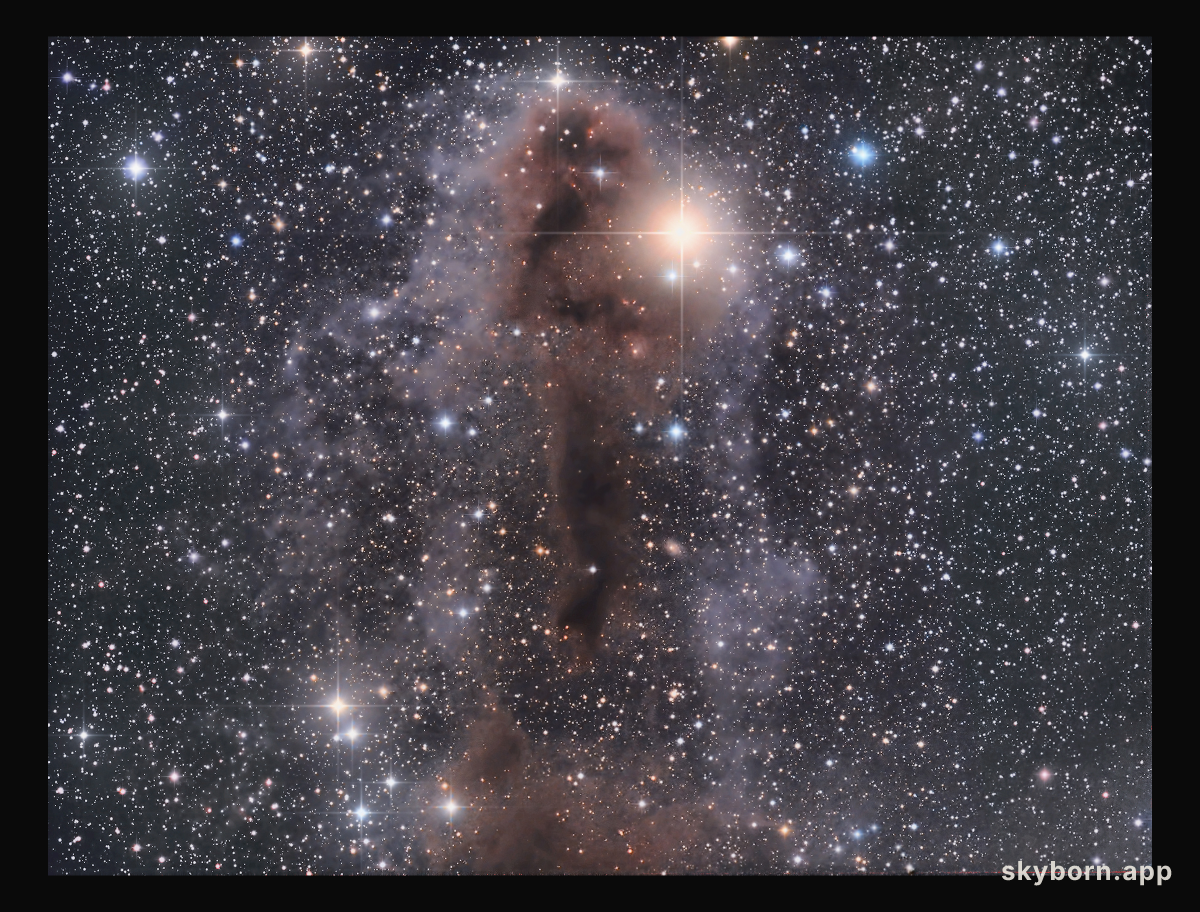 Lynds Dark Nebula 1251