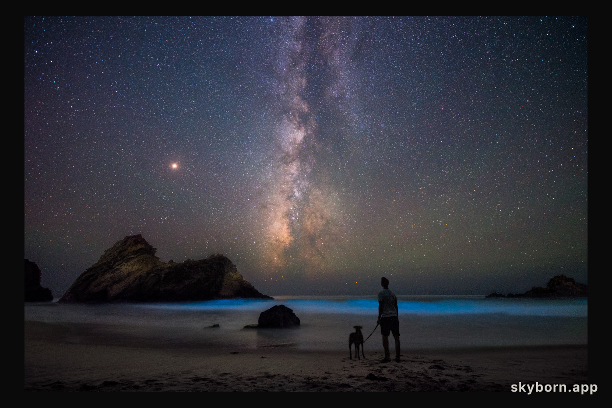 On the Beach with Mars
