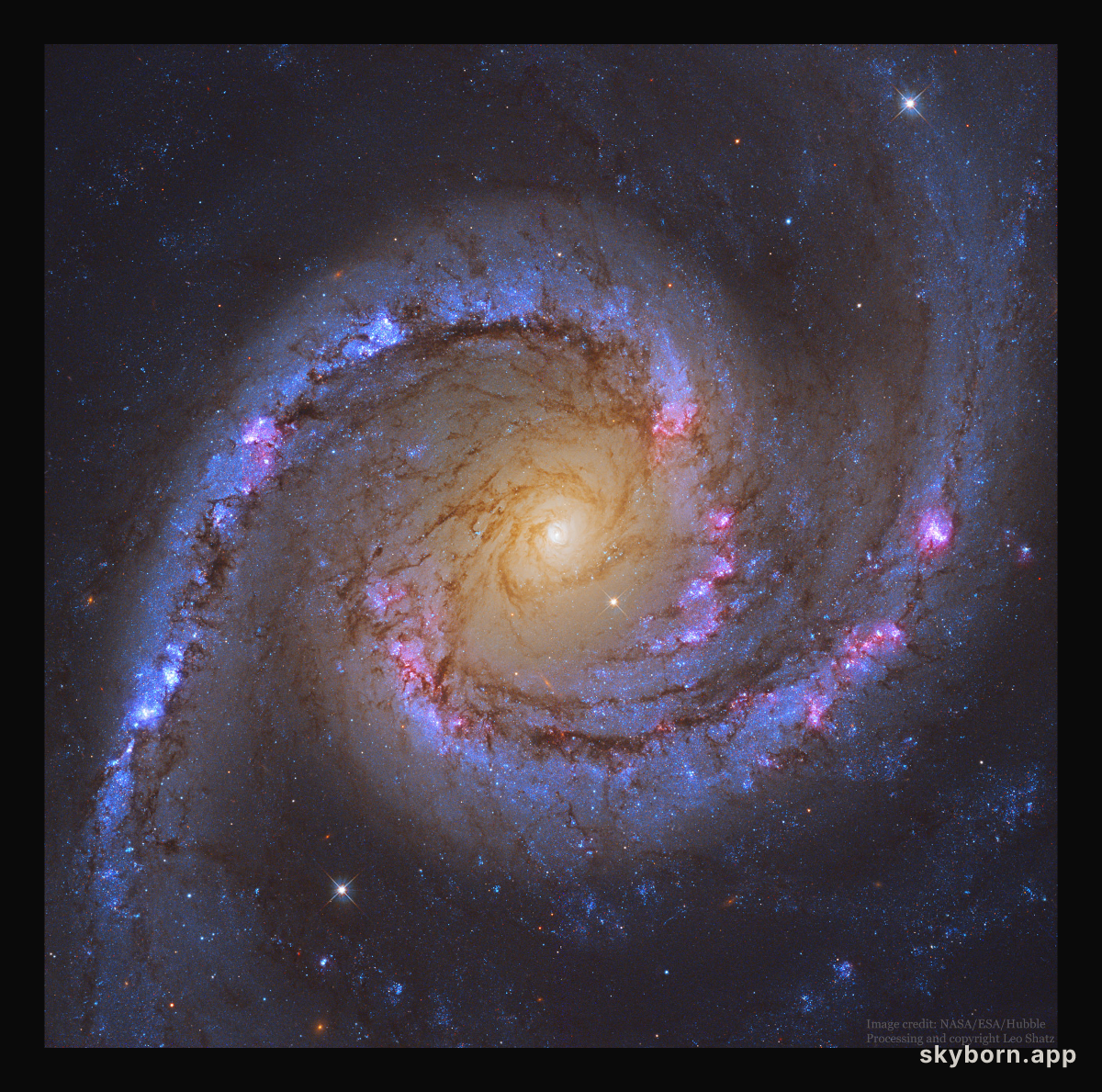 NGC 1566: The Spanish Dancer Spiral Galaxy