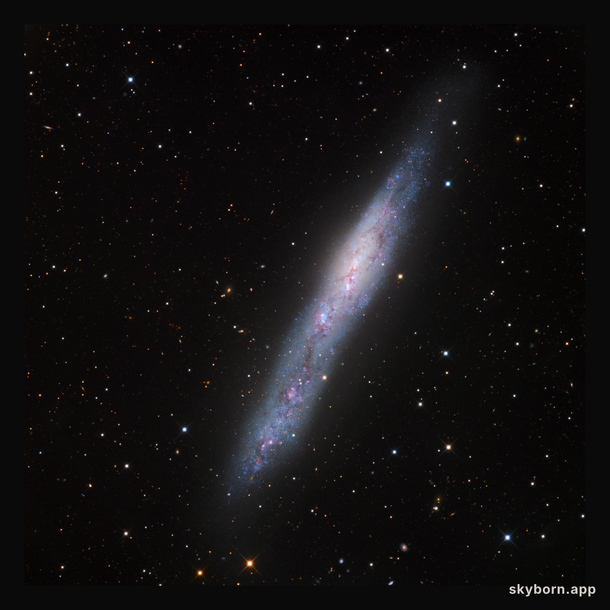 Magellanic Galaxy NGC 55