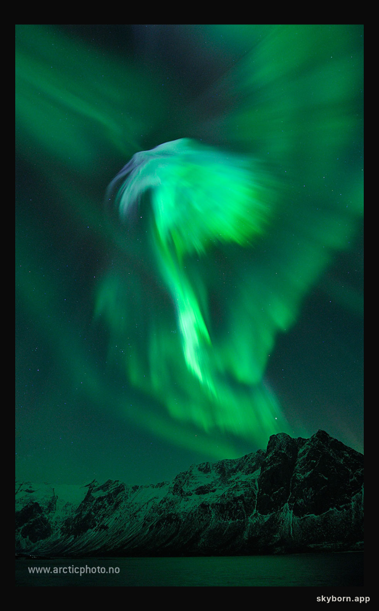 Eagle Aurora over Norway