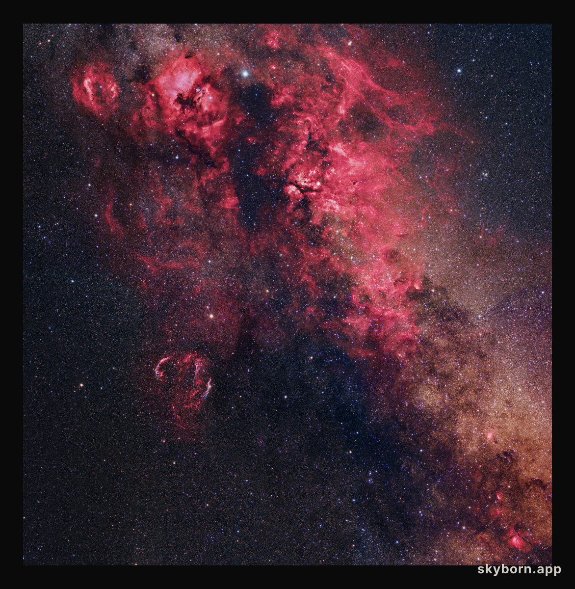 Cygnus Skyscape