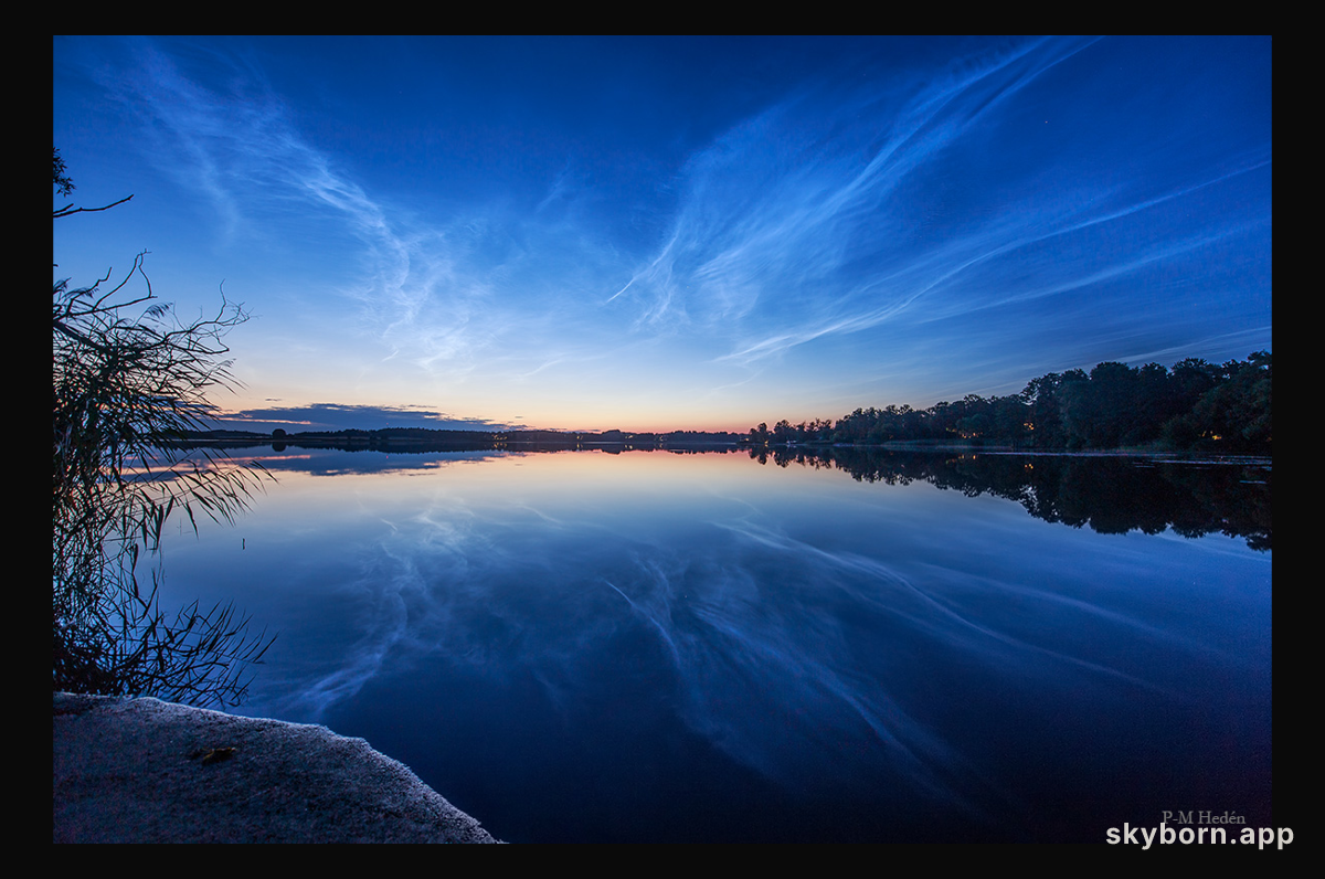 The Veins of Heaven