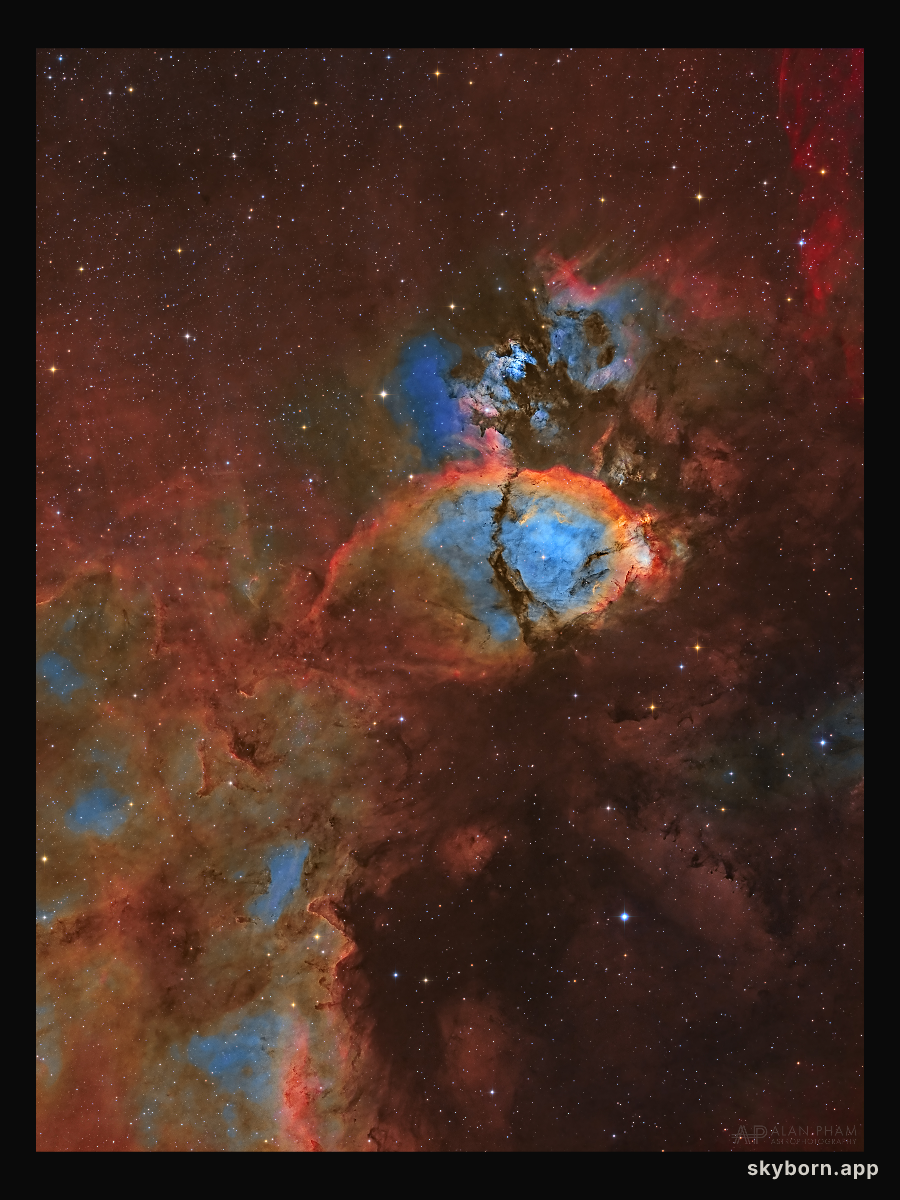 IC 1795: The Fishhead Nebula