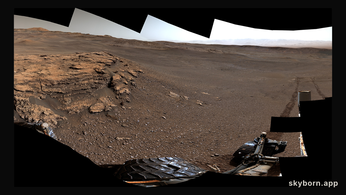 Curiosity at Teal Ridge