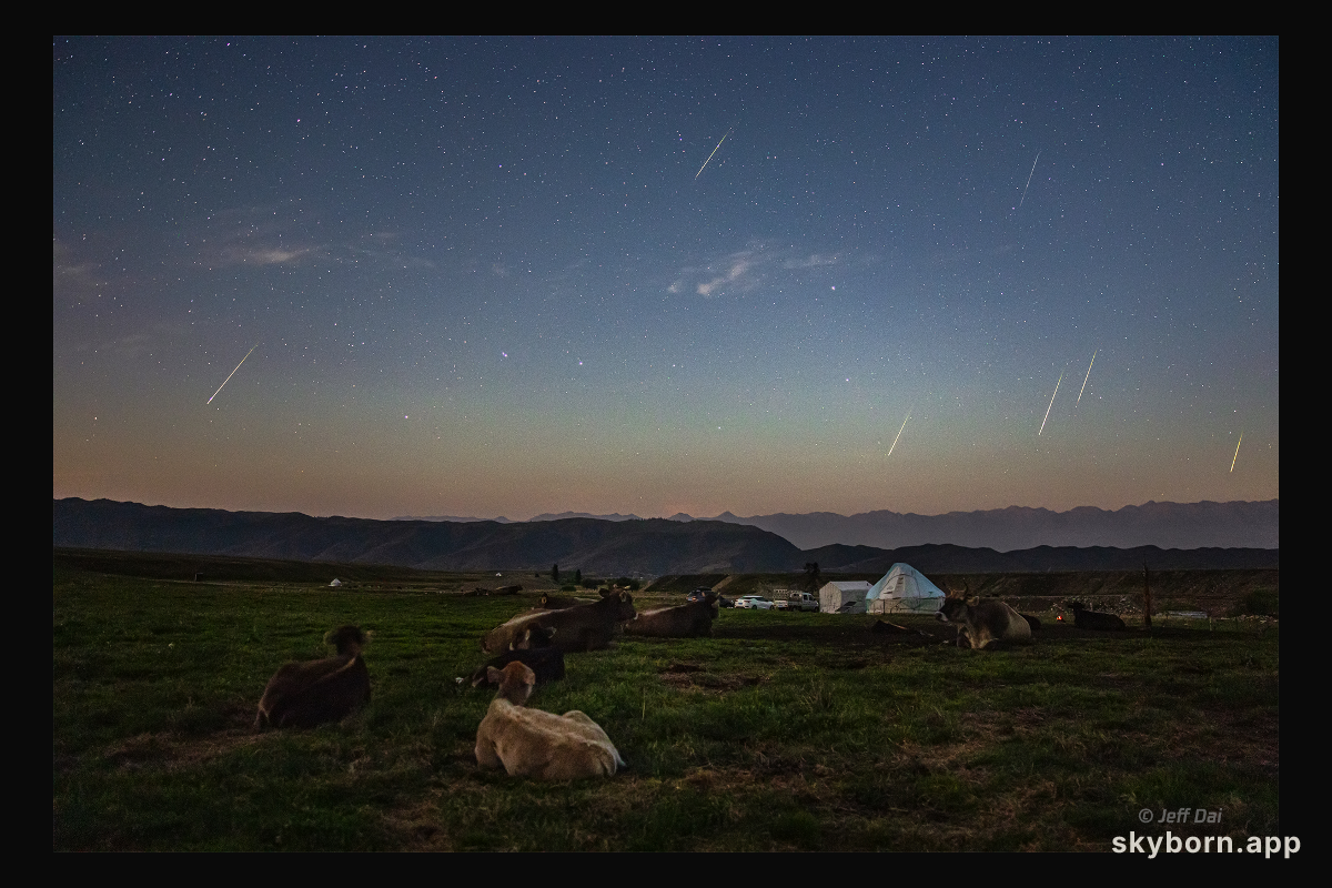 The Perseids and the Plough