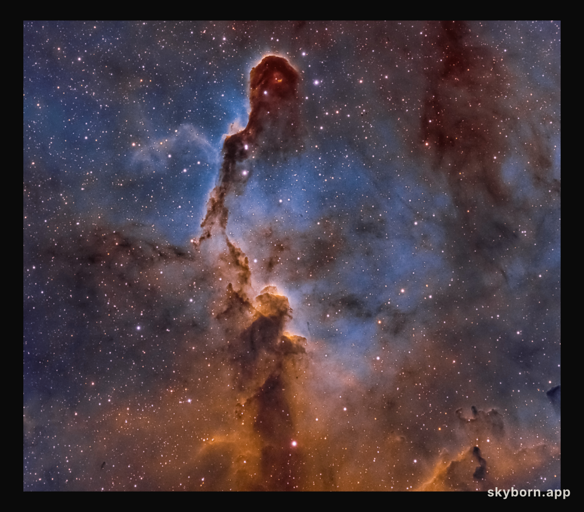 The Elephant's Trunk Nebula in Cepheus