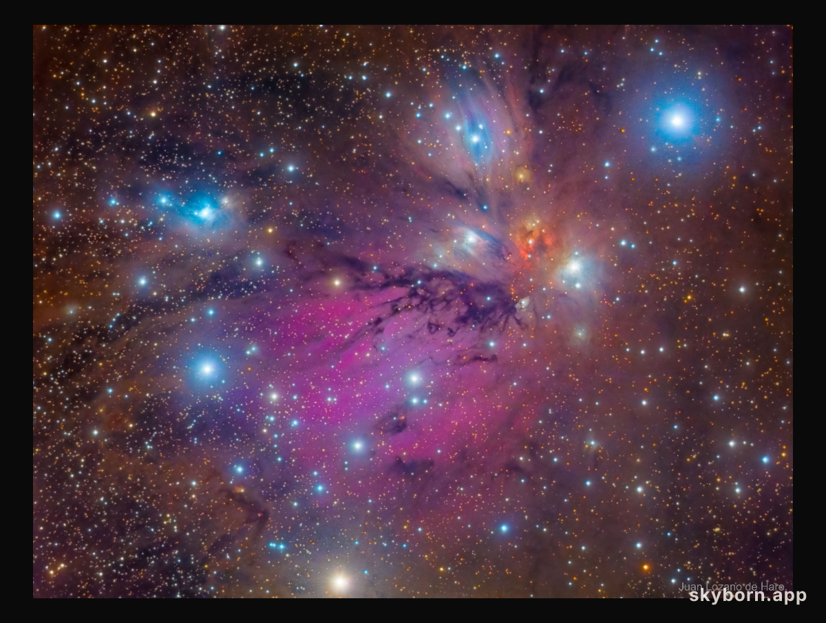 NGC 2170: Angel Nebula Still Life