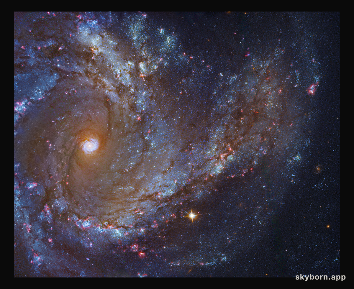 Messier 61 Close Up