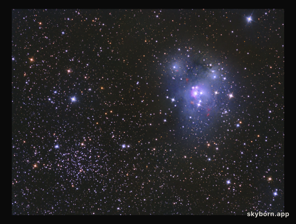 NGC 7129 and NGC 7142