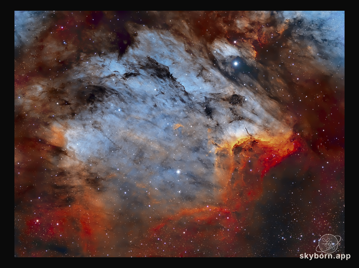 The Pelican Nebula in Gas, Dust, and Stars