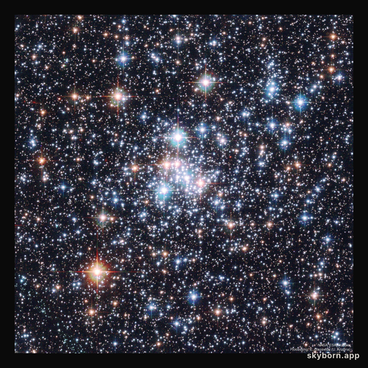 A Stellar Jewel Box: Open Cluster NGC 290
