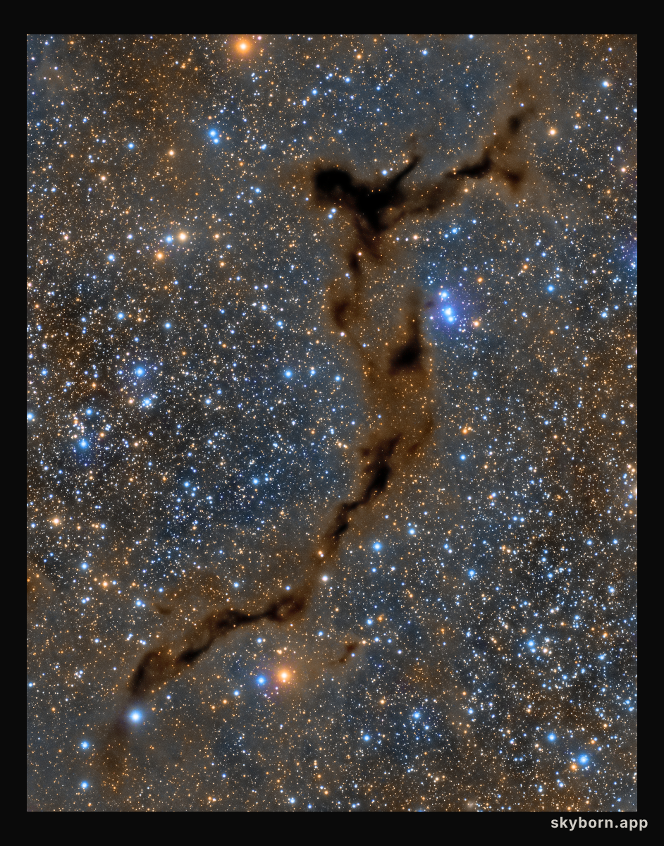 Dark Seahorse in Cepheus