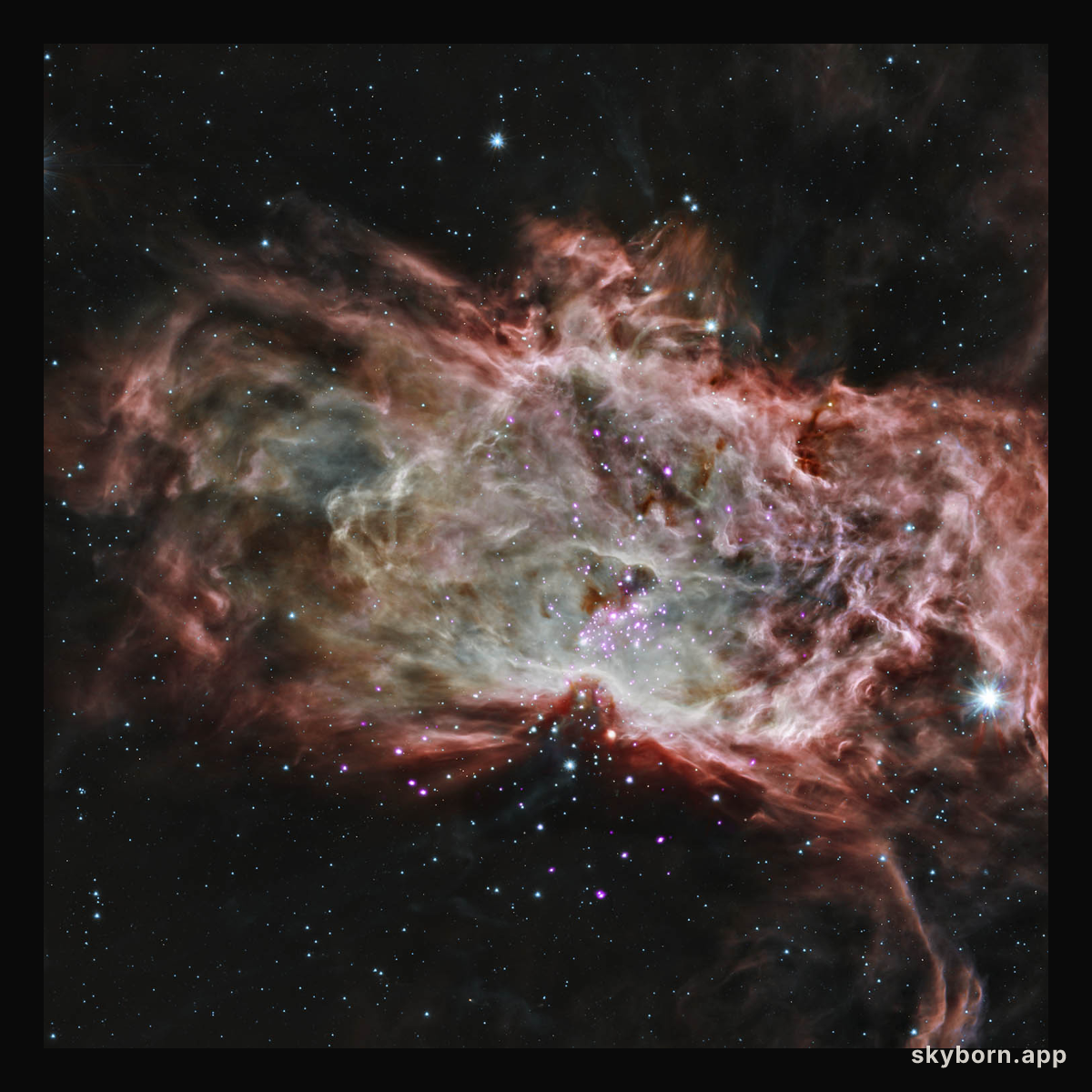 Inside the Flame Nebula
