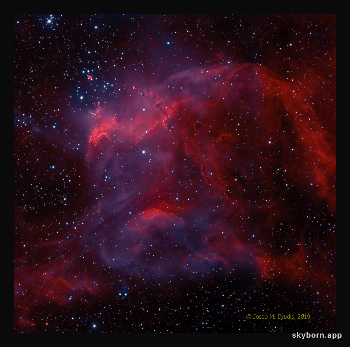 NGC 3572 and the Southern Tadpoles