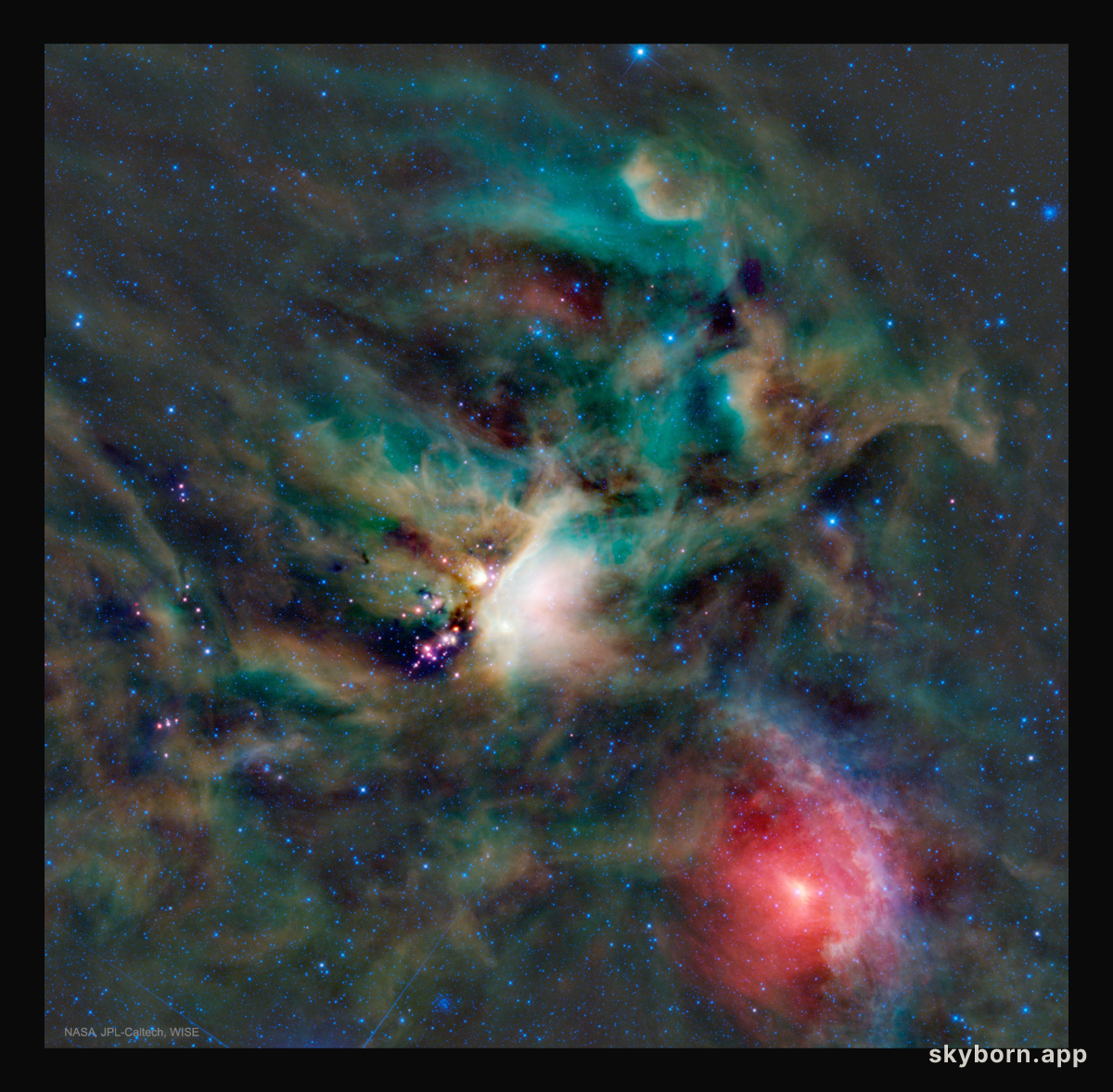 Young Stars in the Rho Ophiuchi Cloud
