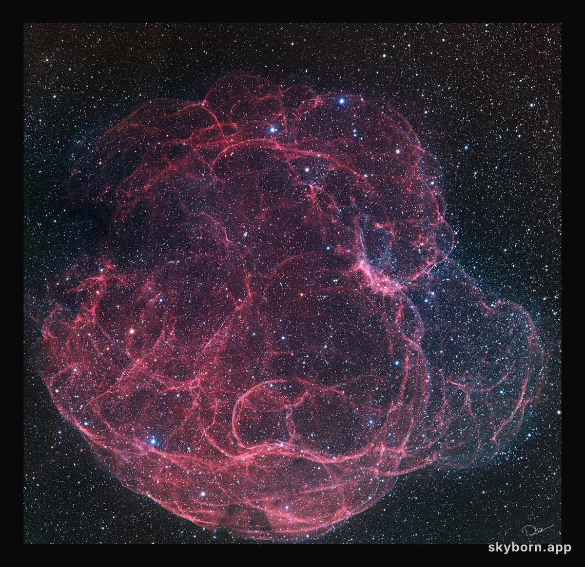 Simeis 147: Supernova Remnant