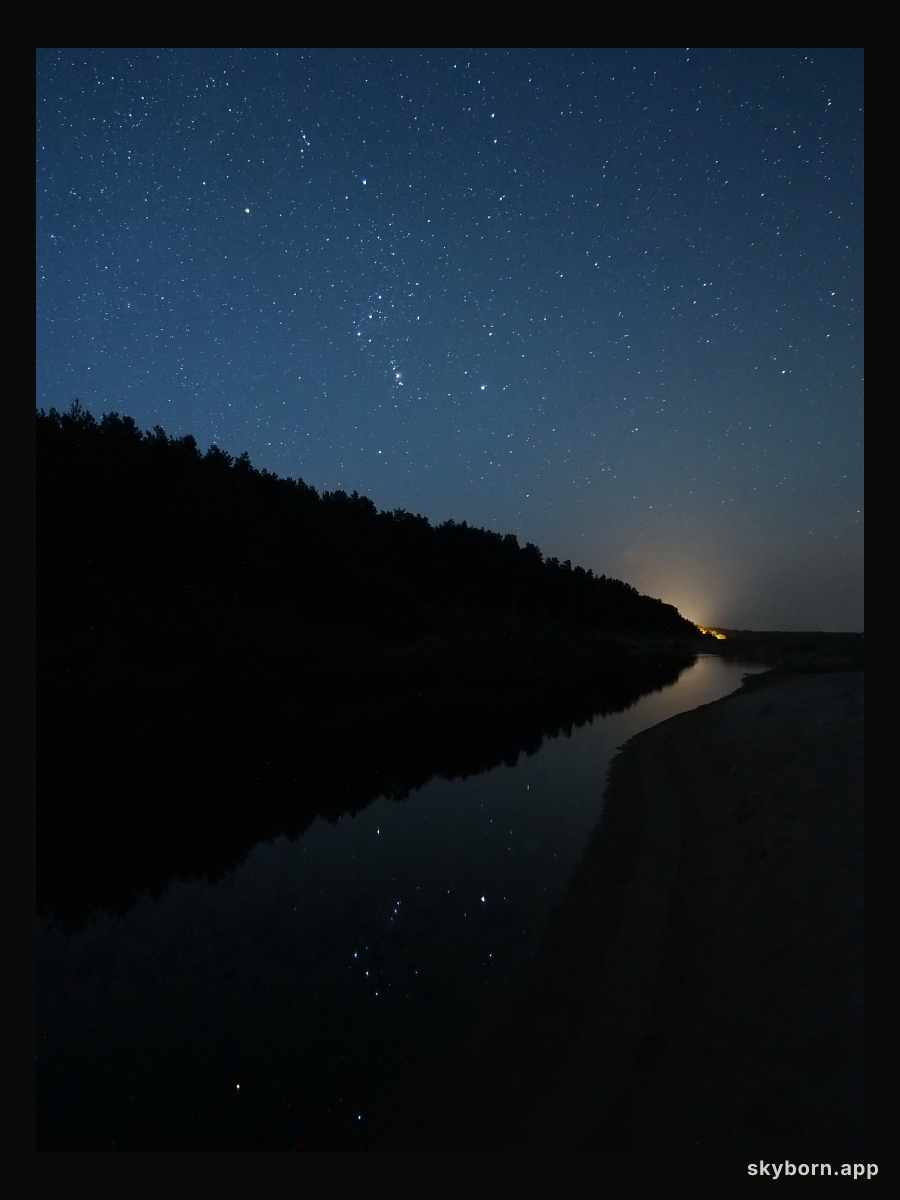 Orion Rising