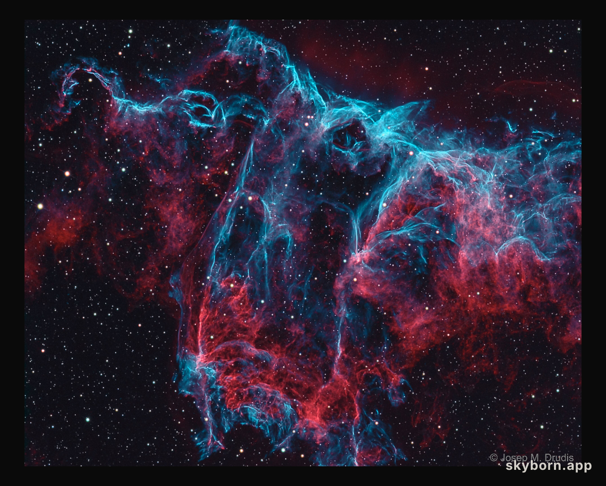 NGC 6995: The Bat Nebula