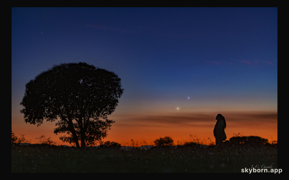 Venus and Jupiter on the Horizon