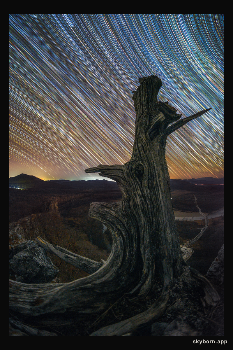 Lines of Time