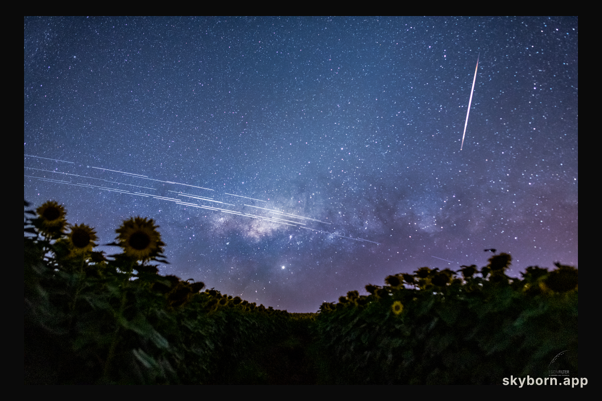 Starlink Satellite Trails over Brazil