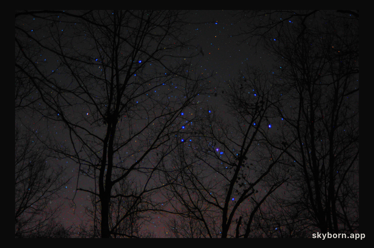 The Fainting of Betelgeuse