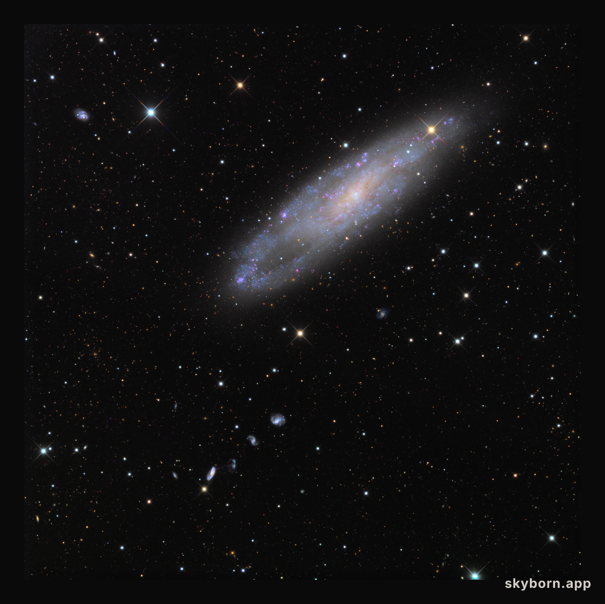 NGC 247 and Friends