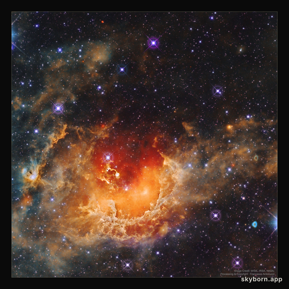Star Formation in the Tadpole Nebula