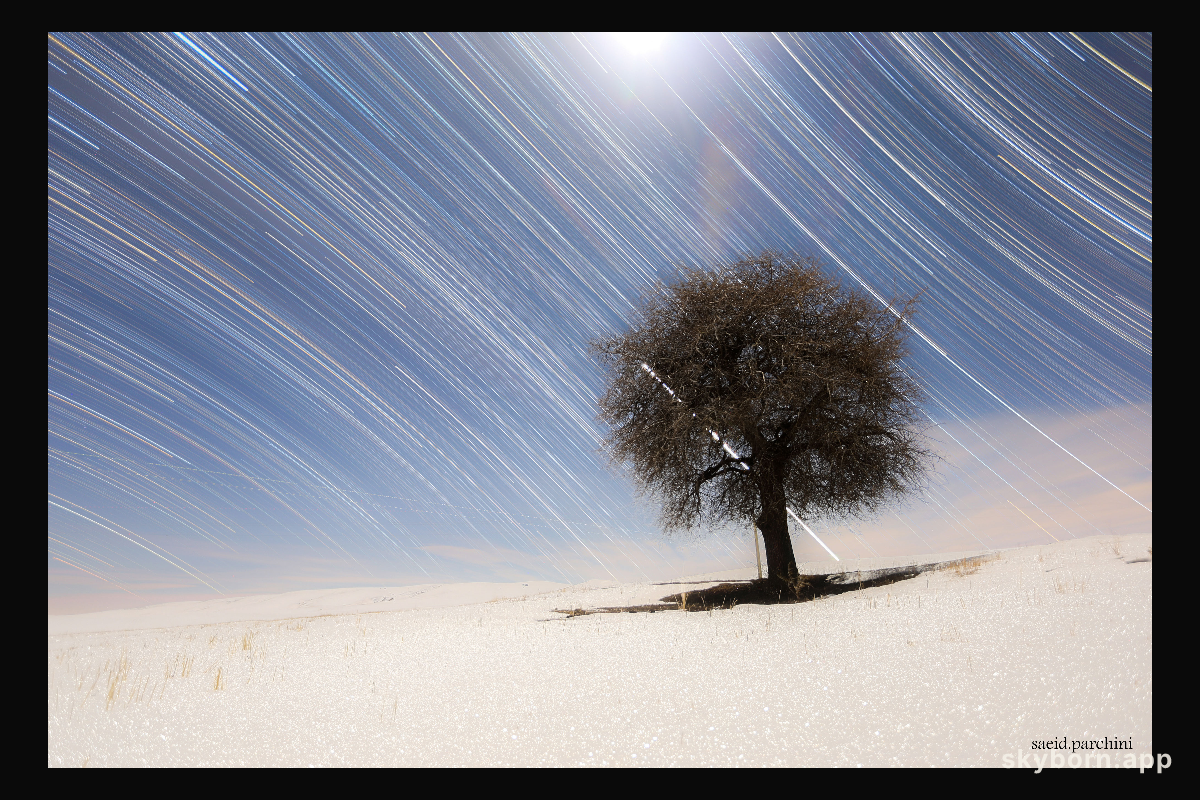 Star Trails of the North and South