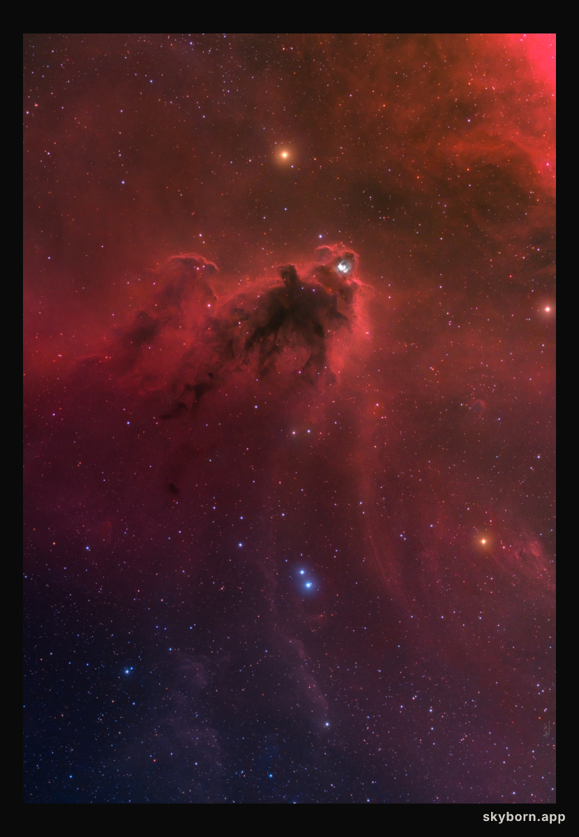 LDN 1622: Dark Nebula in Orion