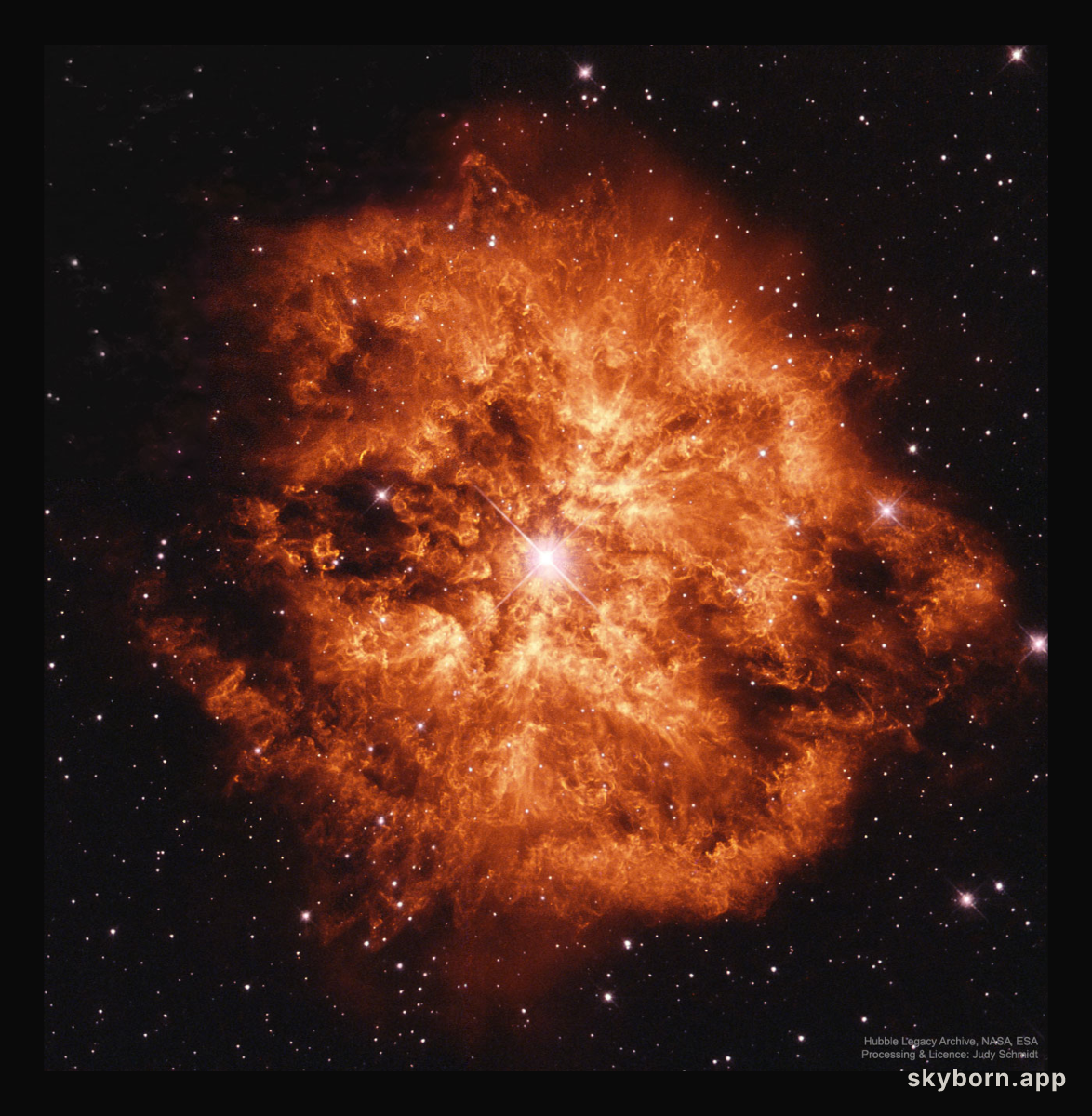 Wolf-Rayet Star 124: Stellar Wind Machine