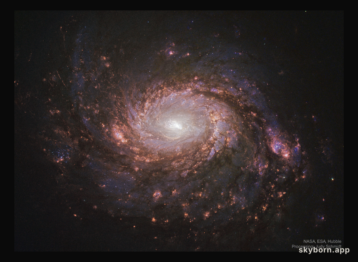 M77: Spiral Galaxy with an Active Center
