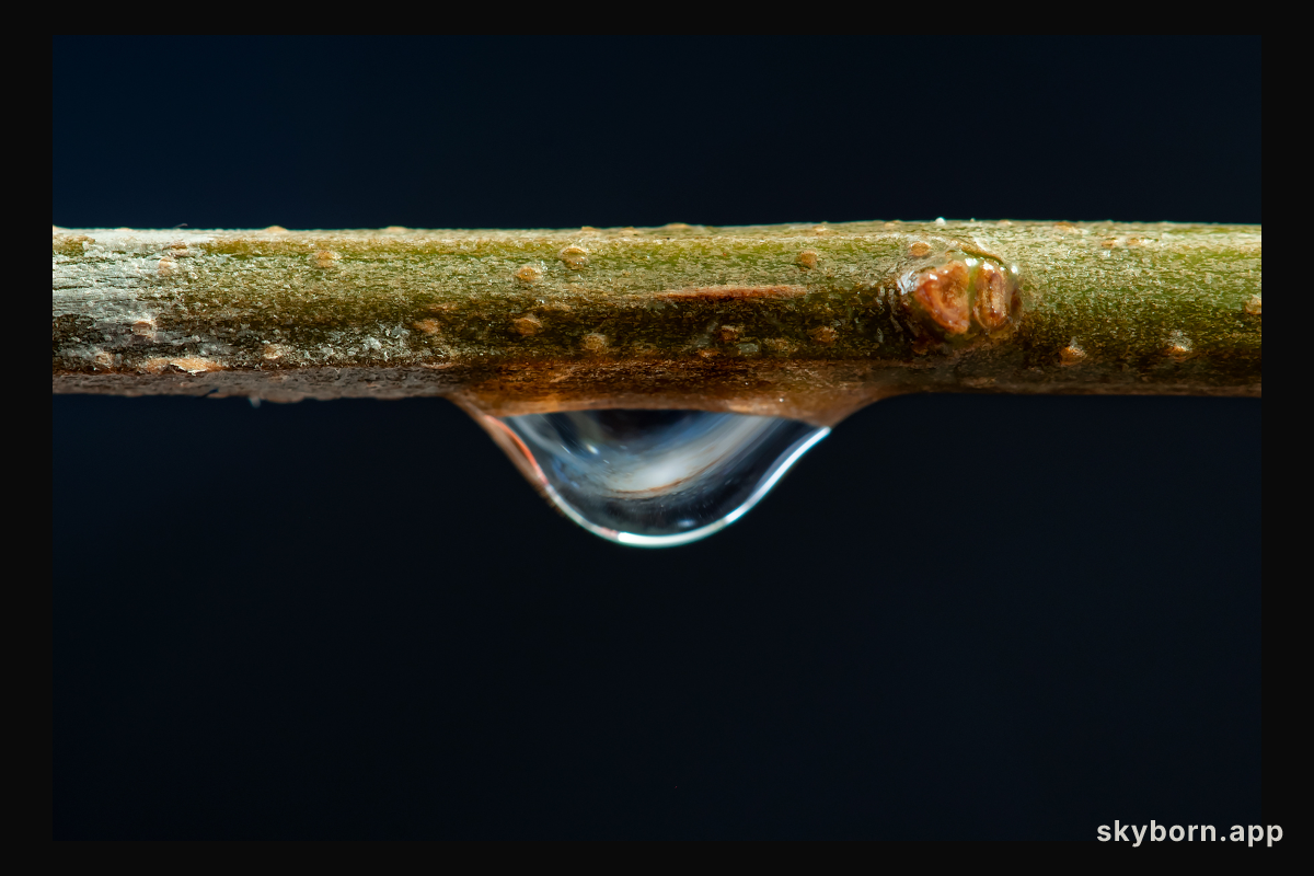 A Little Drop of Galaxy