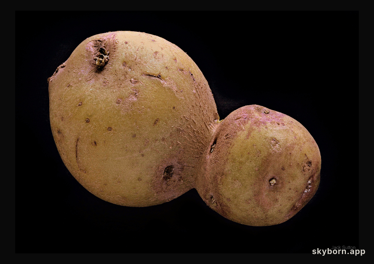 Asteroid or Potato?