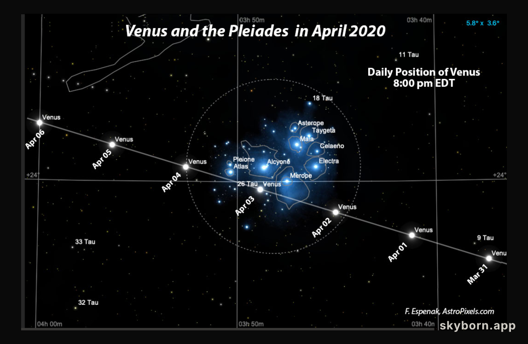 Venus and the Pleiades in April