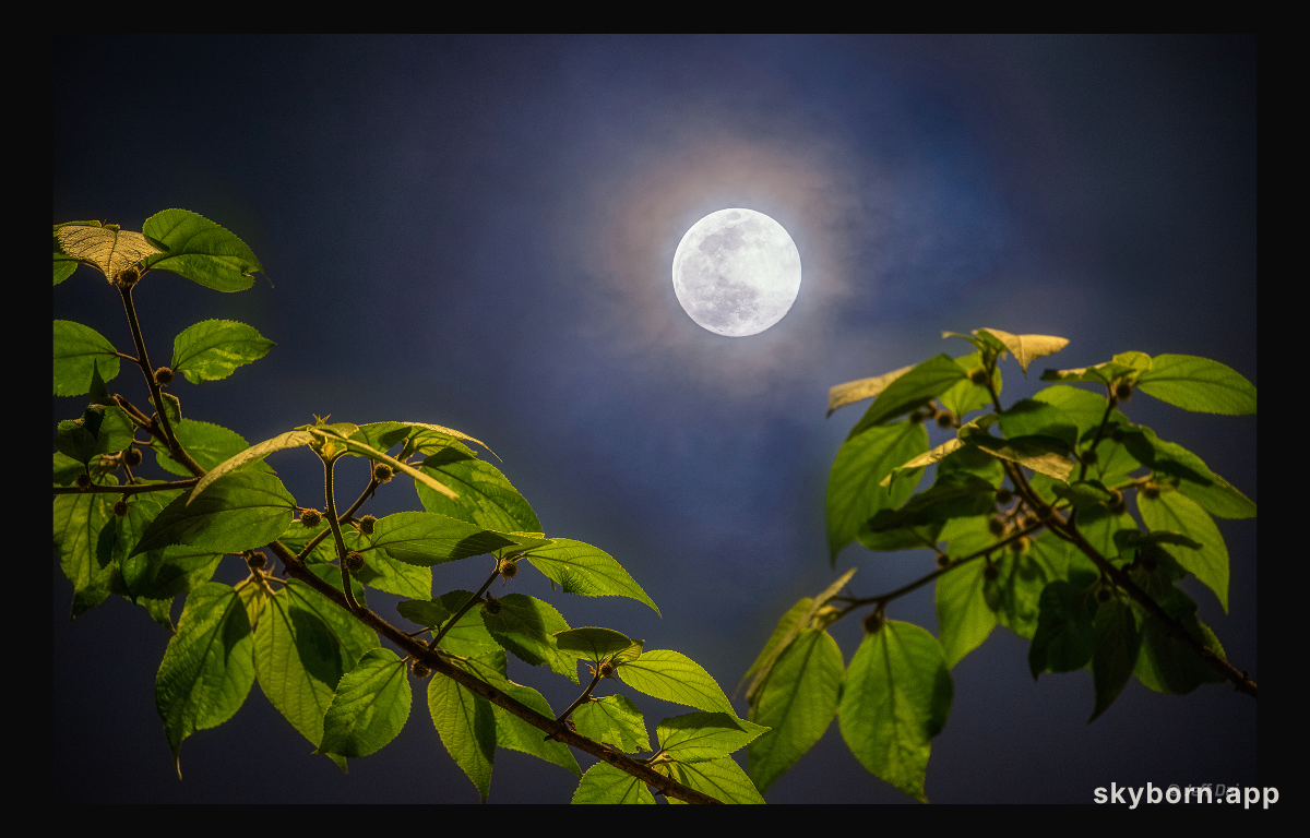 Full Moon of Spring