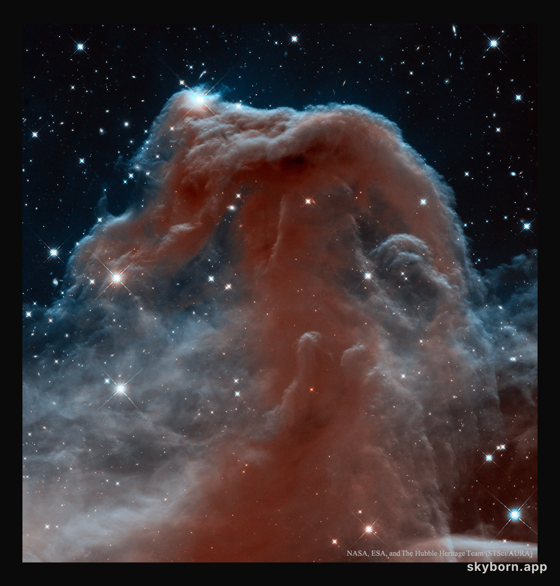 The Horsehead Nebula in Infrared from Hubble