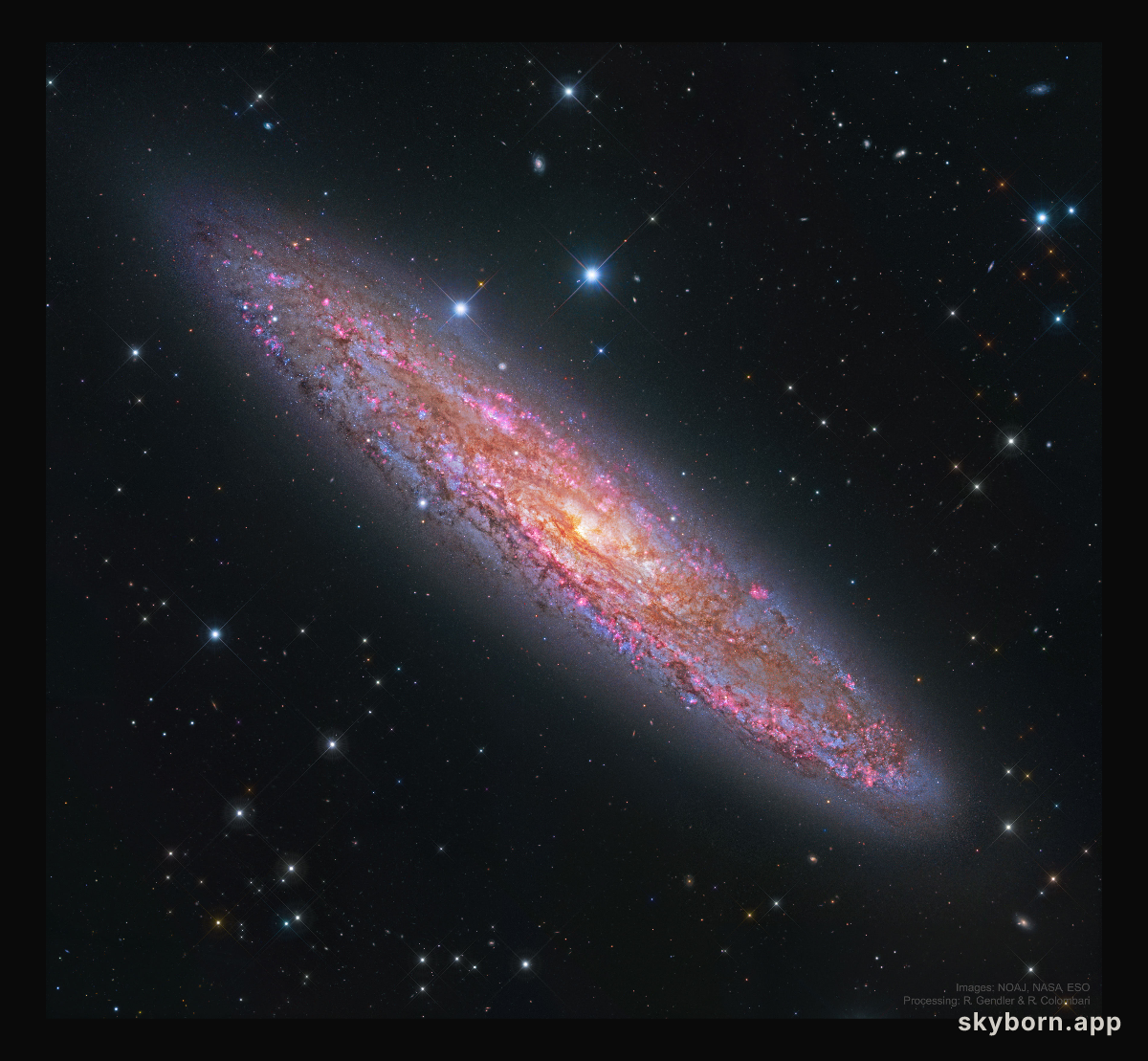 NGC 253: The Silver Coin Galaxy