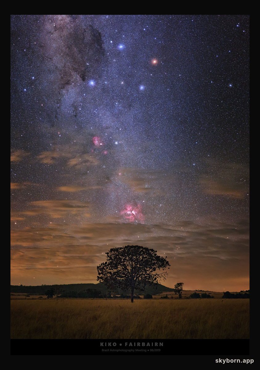 Carina in Perspective