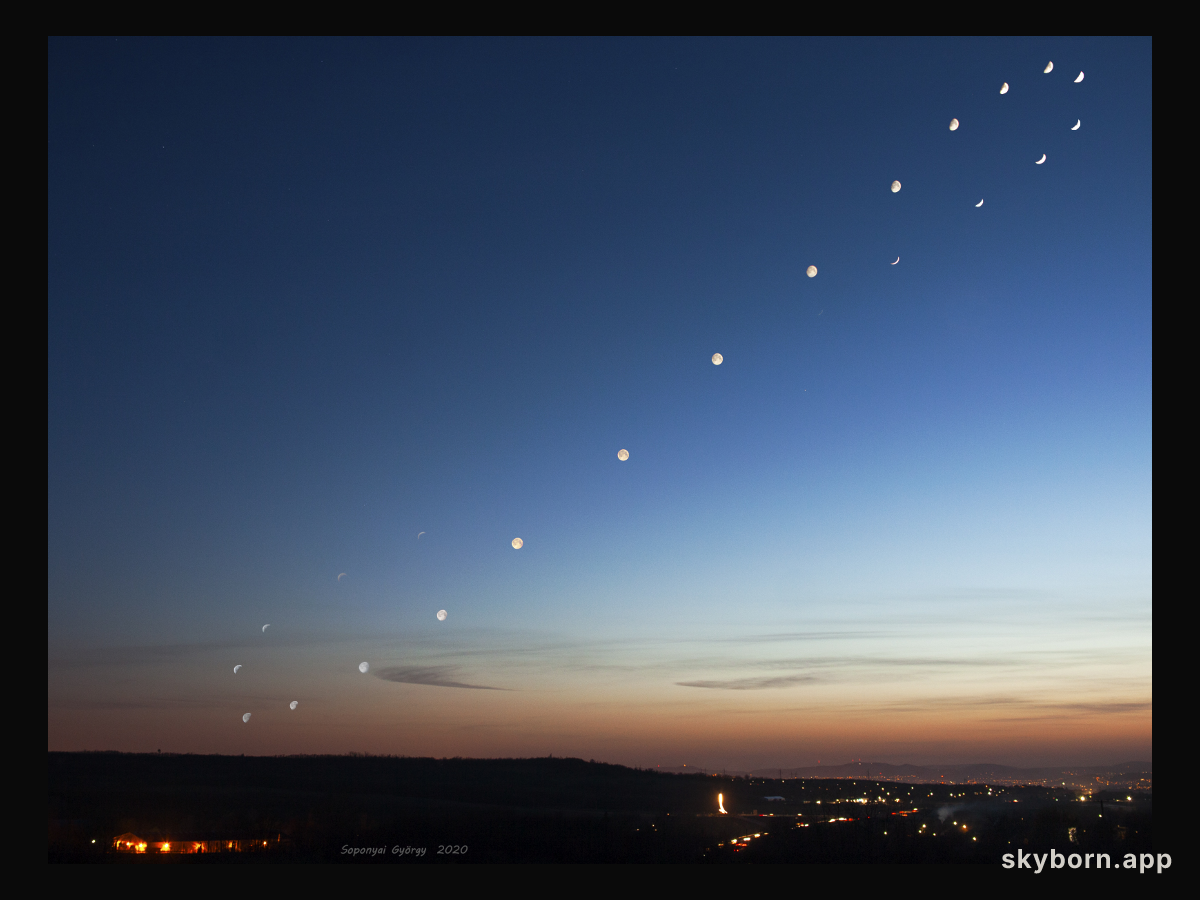 Analemma of the Moon